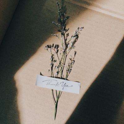 菲律宾众议院弹劾副总统 - May 12, 2026